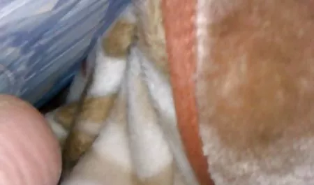 મસાજ સુંદરતા sucks તેના masseur પહેલાં વાસ્તવિક પછી સેક્સ